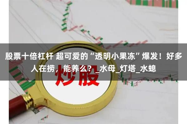 股票十倍杠杆 超可爱的“透明小果冻”爆发！好多人在捞，能养么？_水母_灯塔_水螅
