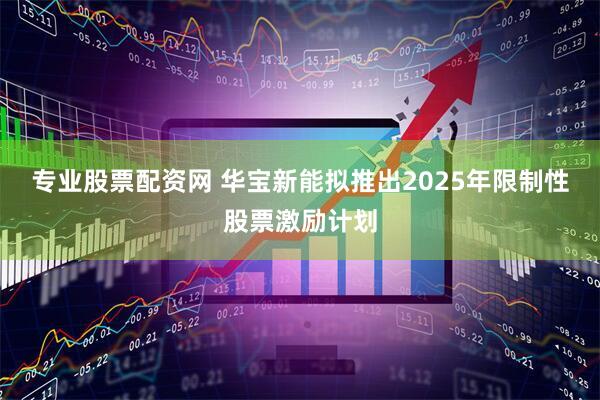 专业股票配资网 华宝新能拟推出2025年限制性股票激励计划